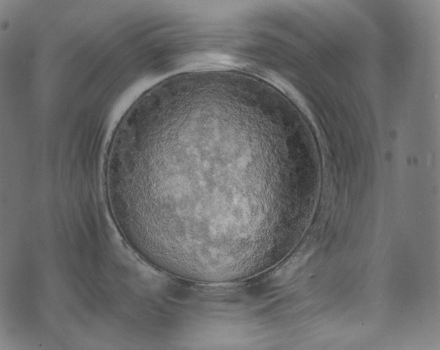 X0000070871488200606231305