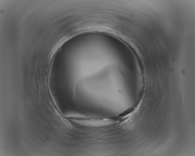 X0000070871529200606231305