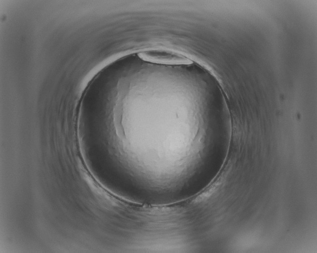 X0000070871534200606231305