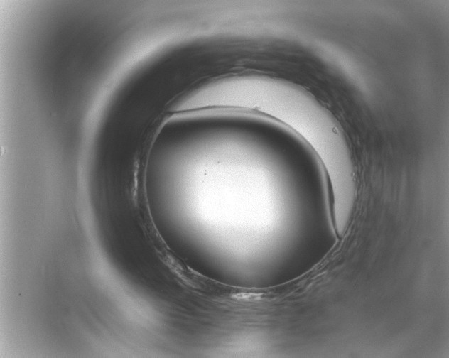 X0000070870052200606302122
