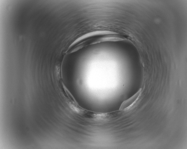 X0000070870192200606302121