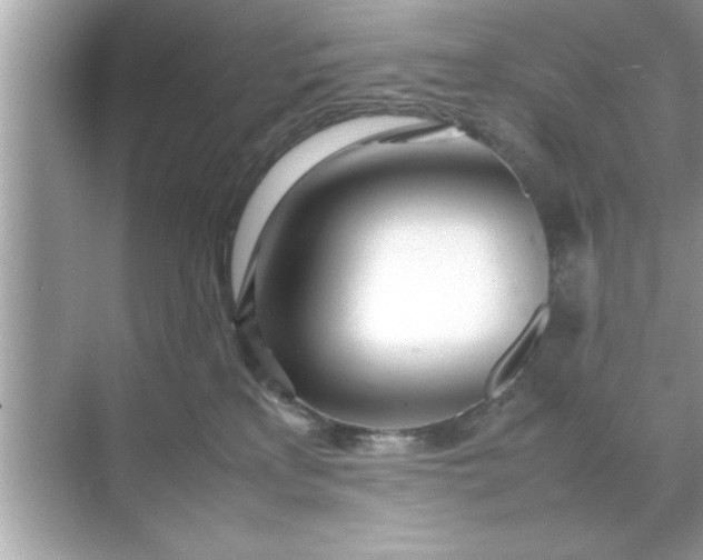 X0000070870233200606302120