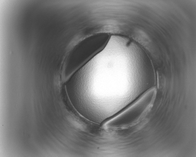 X0000070870252200606302119