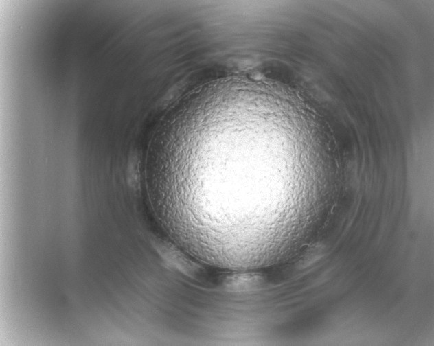 X0000070870274200606302119