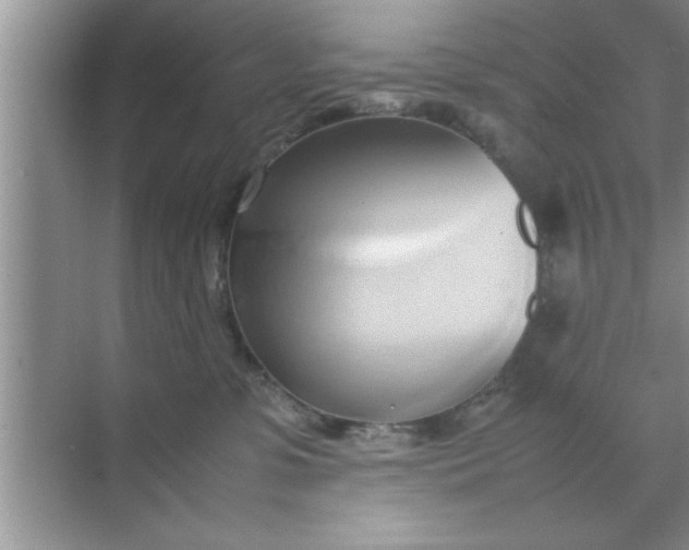 X0000070870331200606302118