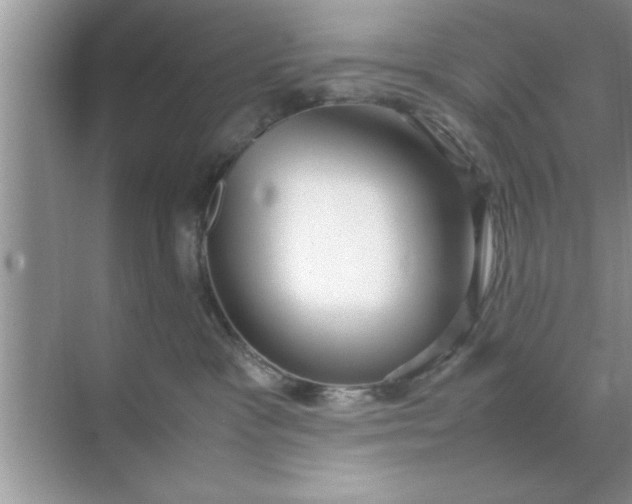 X0000070870333200606302118