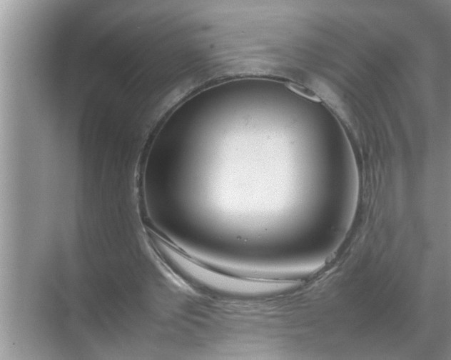 X0000070870389200606302117