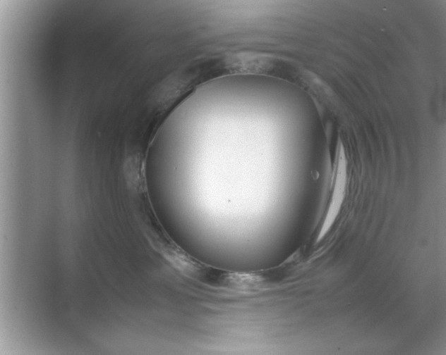 X0000070870429200606302116