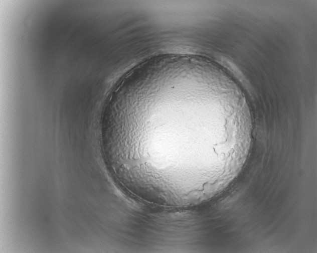 X0000070870433200606302115