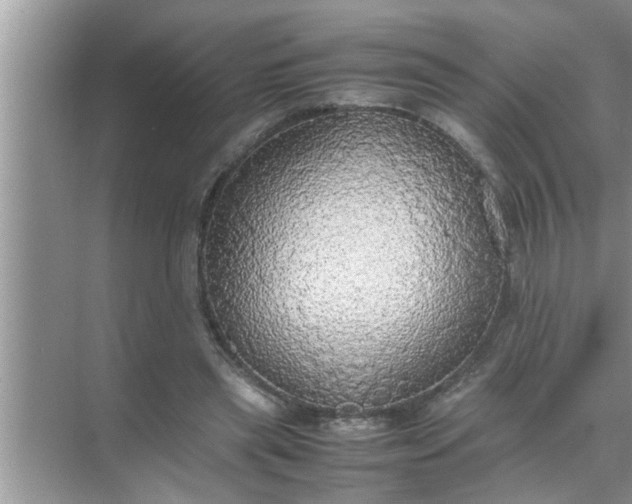 X0000070870445200606302116