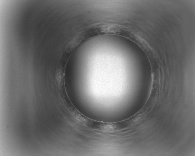 X0000070870513200606302115