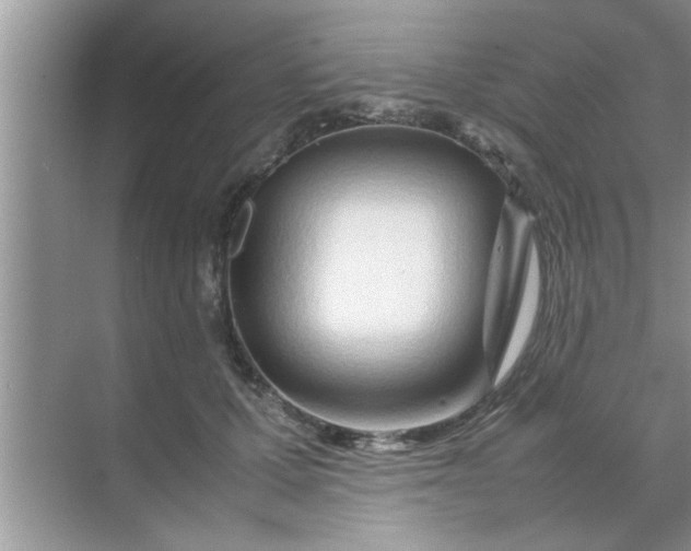 X0000070870607200606302113