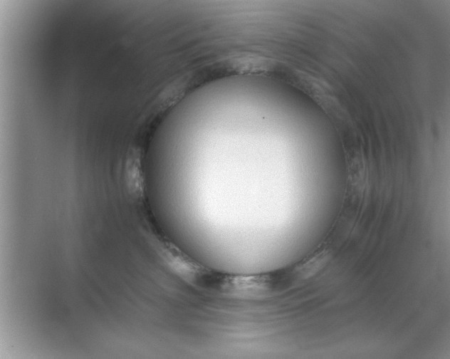 X0000070870622200606302113