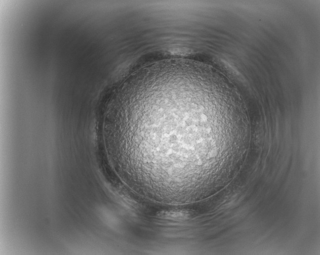 X0000070870639200606302112