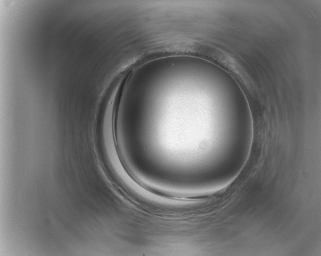 X0000070870677200606302112