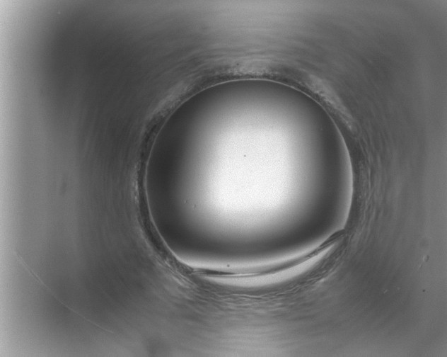 X0000070870681200606302112