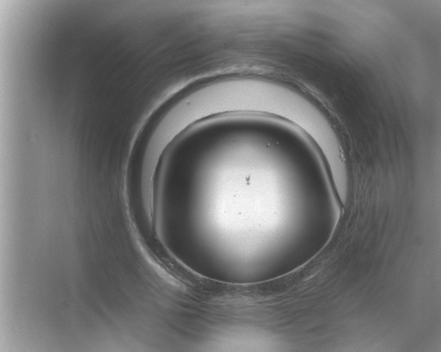 X0000070870726200606302111