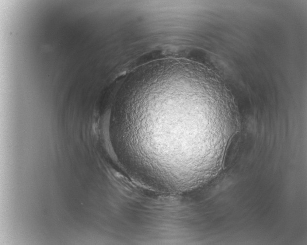 X0000070870914200606302107