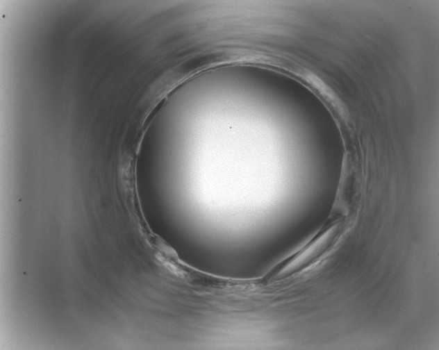 X0000070871001200606302107