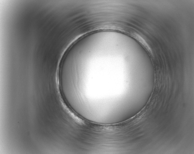 X0000070871084200606302105