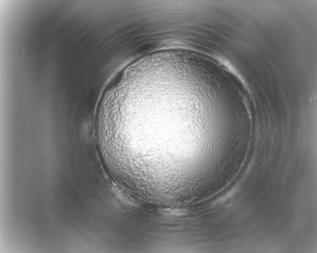 X0000070871145200606302105