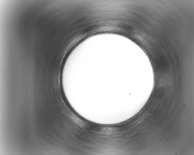 X0000070871322200606302101