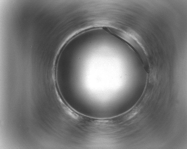 X0000070871342200606302102