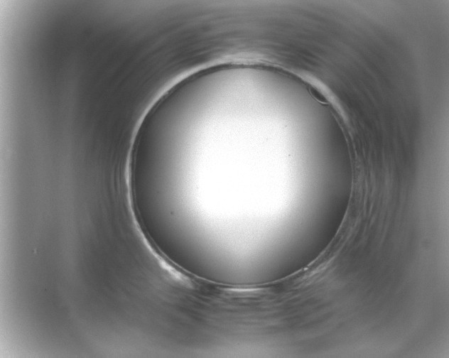 X0000070871343200606302102