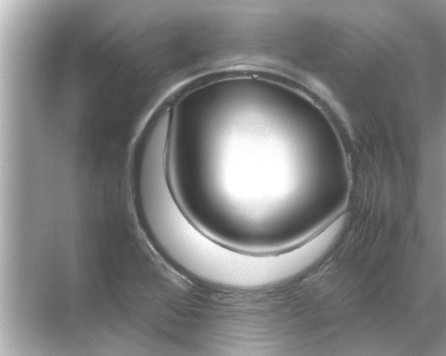 X0000070871368200606302101