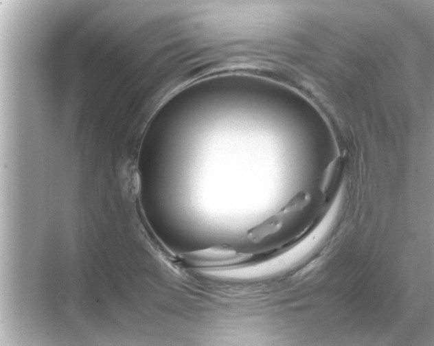 X0000070871369200606302101