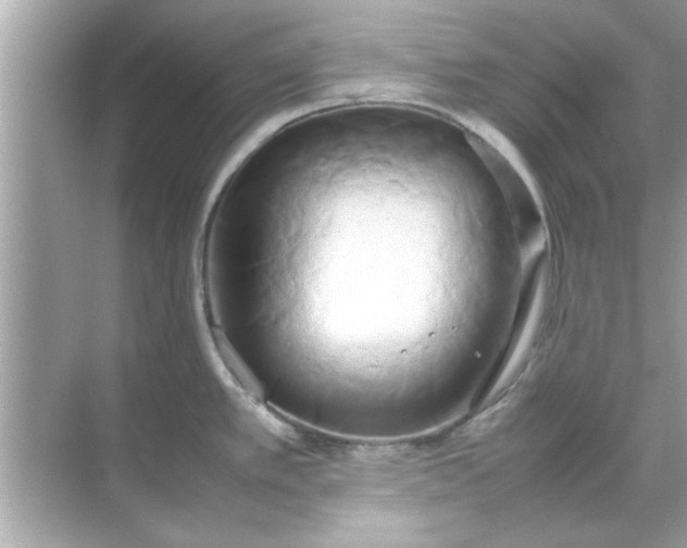 X0000070871389200606302100