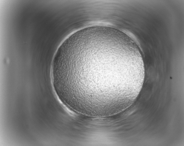 X0000070871391200606302100