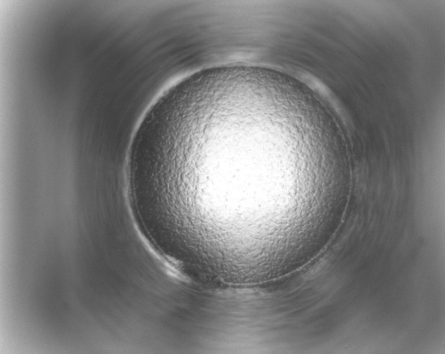 X0000070871432200606302100