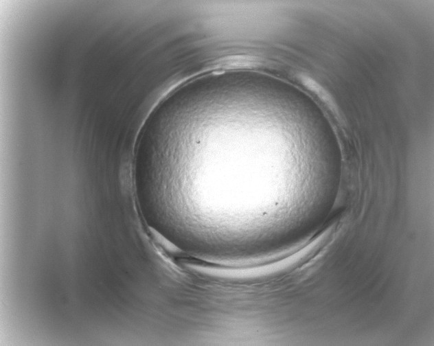 X0000070871473200606302059