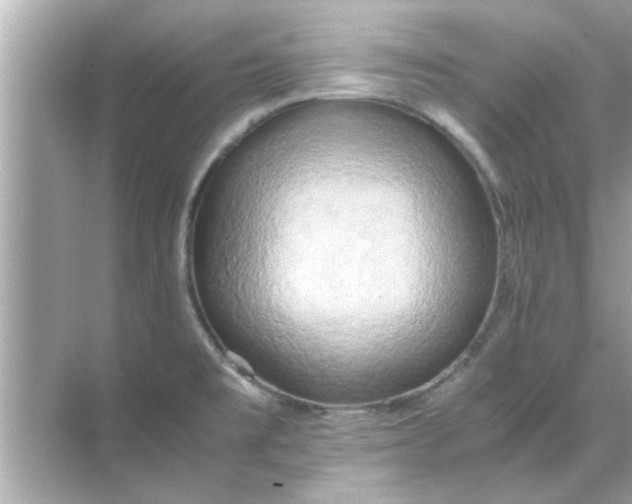 X0000070871477200606302059