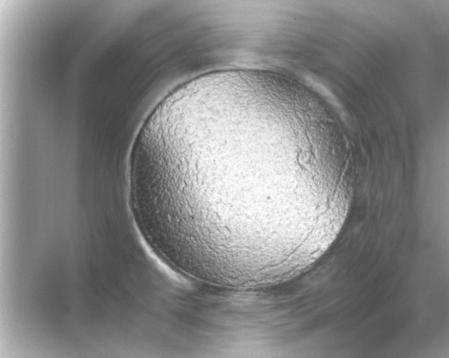 X0000070871479200606302059