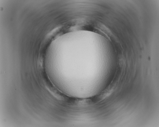 X0000070870072200607071933