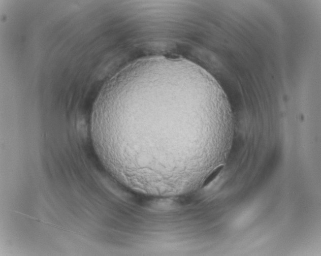 X0000070870086200607071933