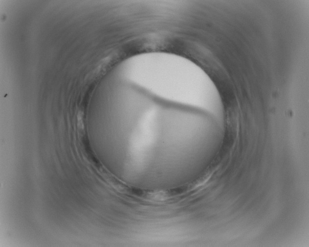 X0000070870127200607071932