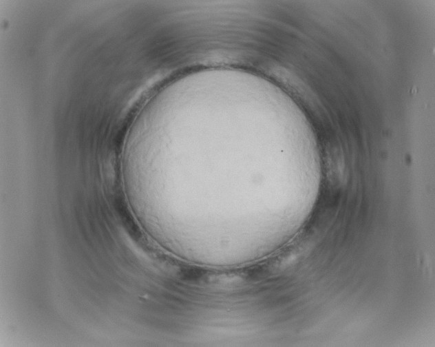 X0000070870208200607071931