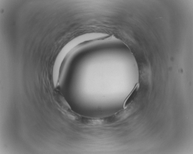 X0000070870233200607071931