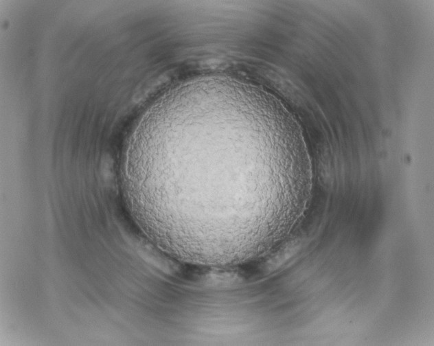 X0000070870270200607071930