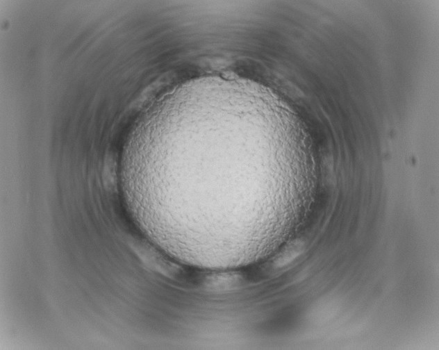 X0000070870274200607071930