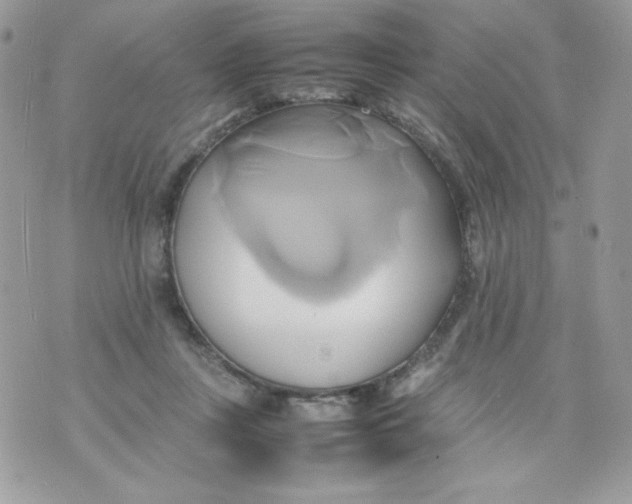 X0000070870359200607071928