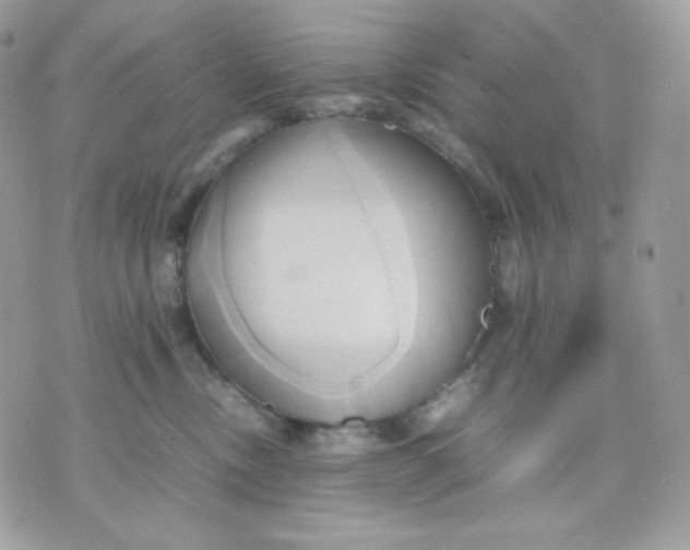 X0000070870378200607071929