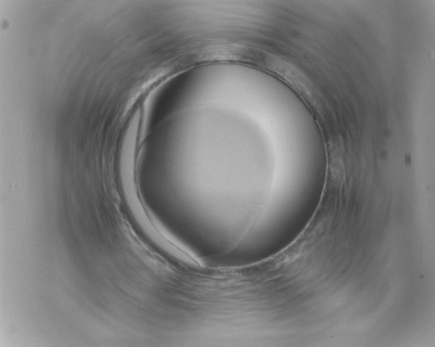 X0000070870386200607071928
