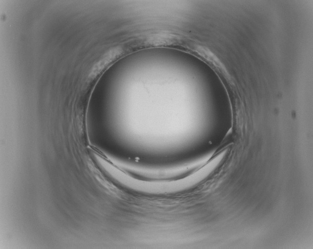 X0000070870393200607071928