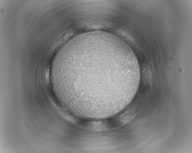 X0000070870406200607071928