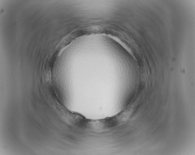 X0000070870425200607071927
