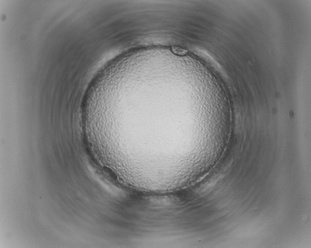 X0000070870439200607071927